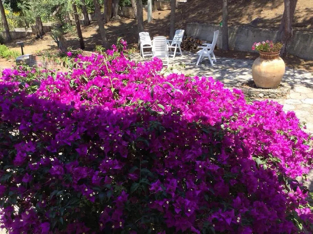 Holiday home Villa Bouganvilla Cefalu